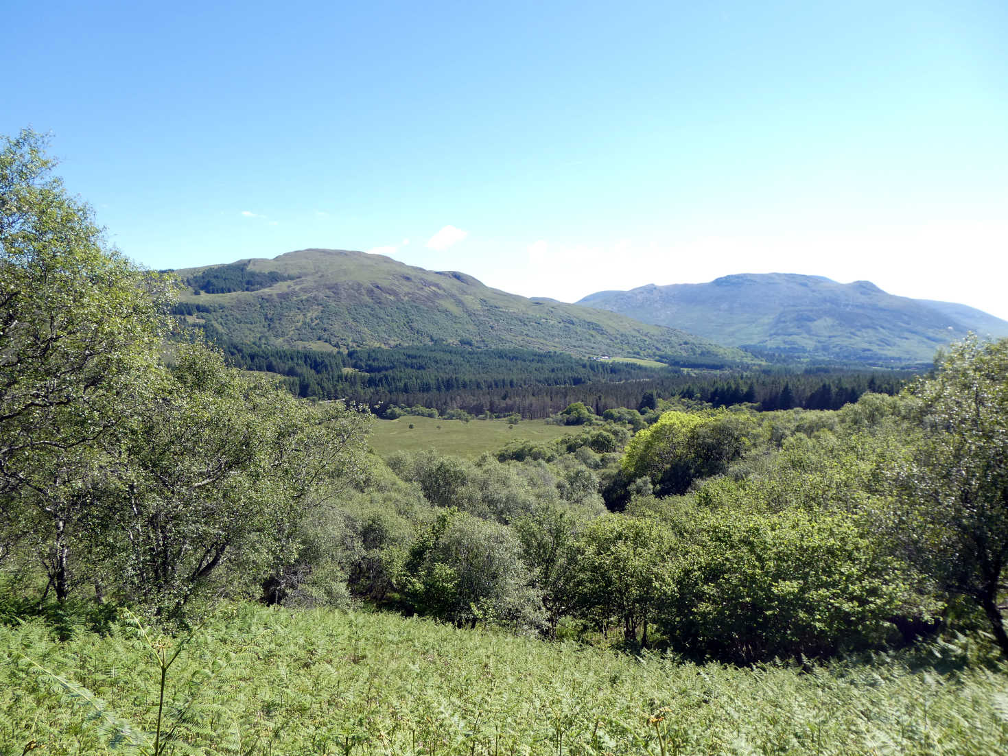 lost on the hills of Mull