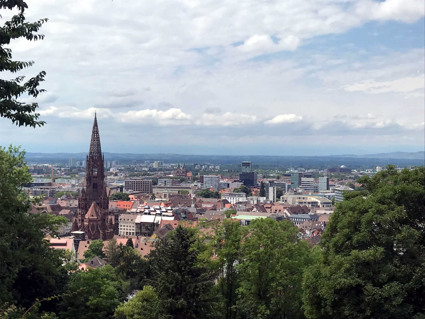 Freiburg from Schlossberg