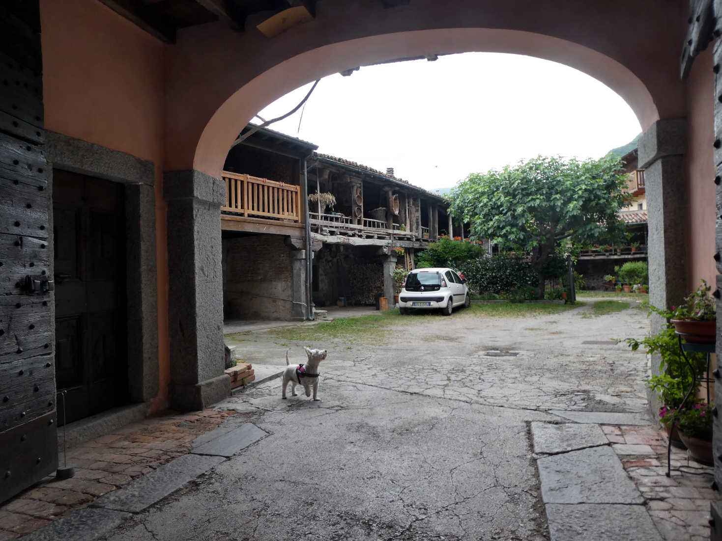 Poppy the Westie explores a courtyard in Lemprato Lake Idro