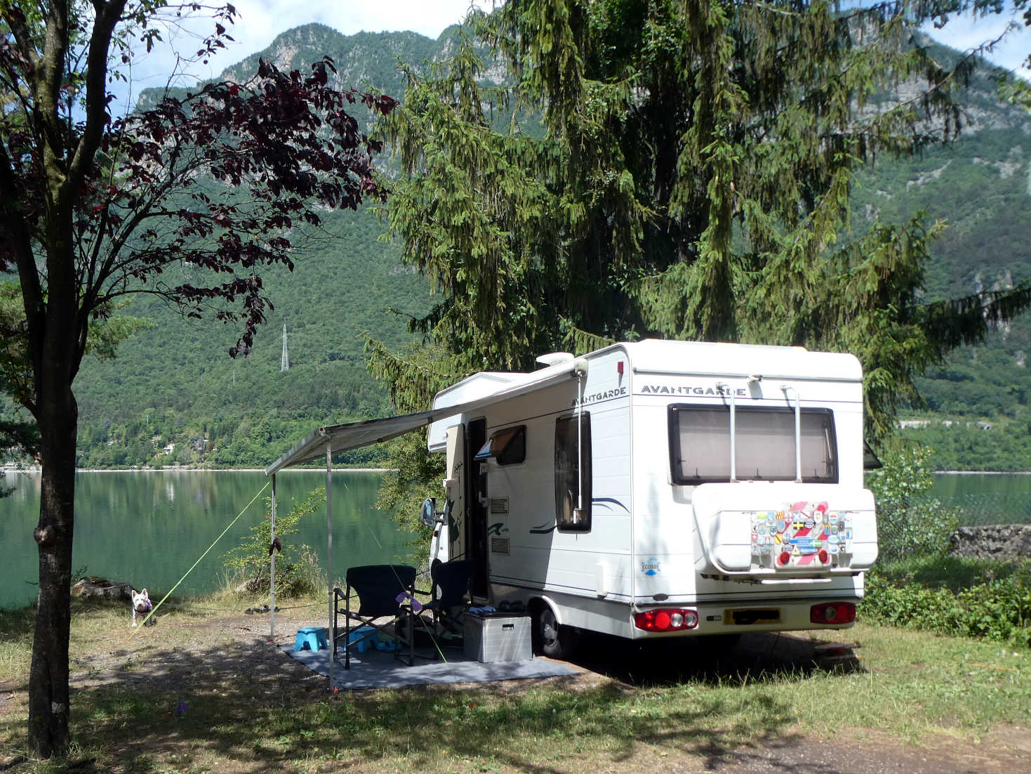 poppy the westie guards camp at Vantone lake Idro