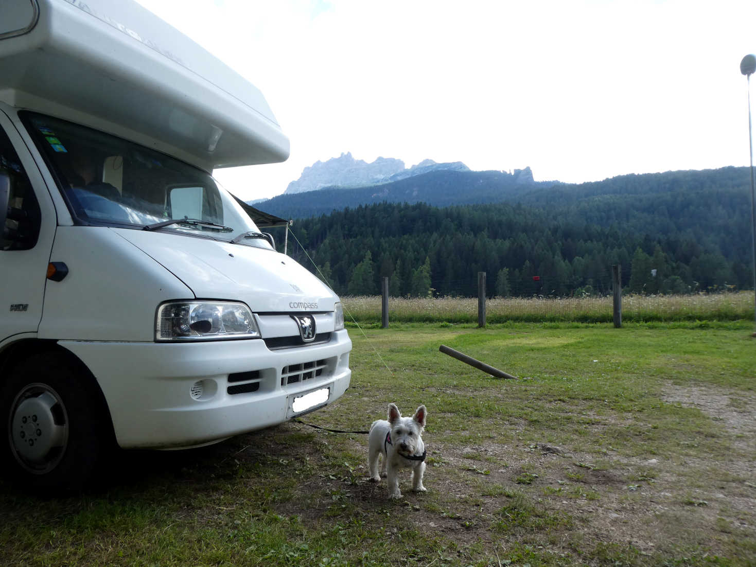 poppy and betsy get to camp in cortina
