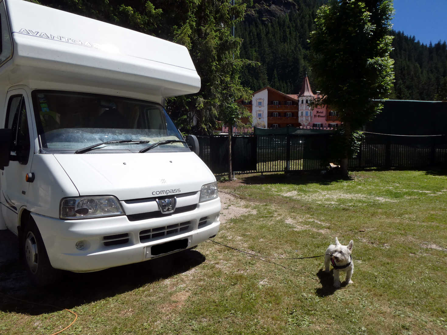 poppy the westie and Betsy at camping Marmolada