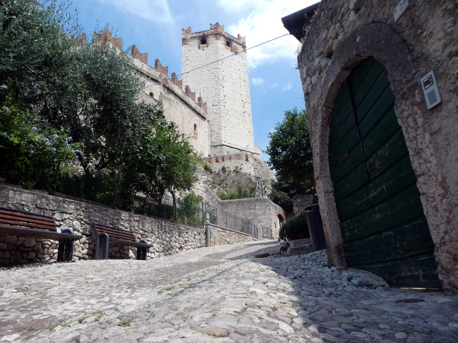 poppy the westie at the castle in Malcesine