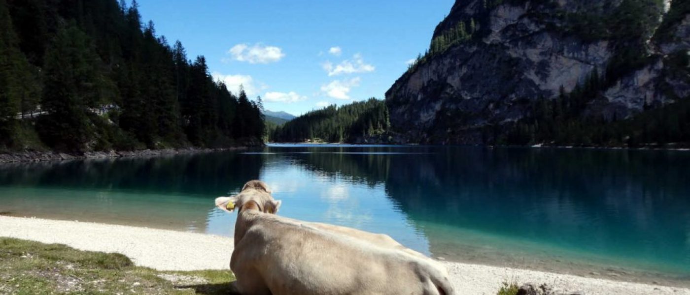 Lake hopping to Cortina