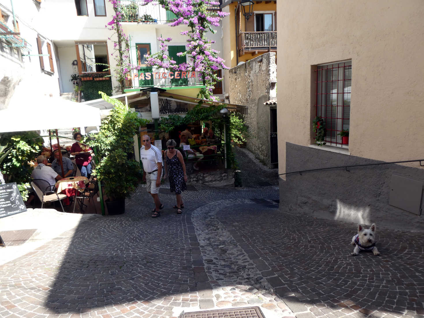 poppy the westie cools down in a piazza in Limone