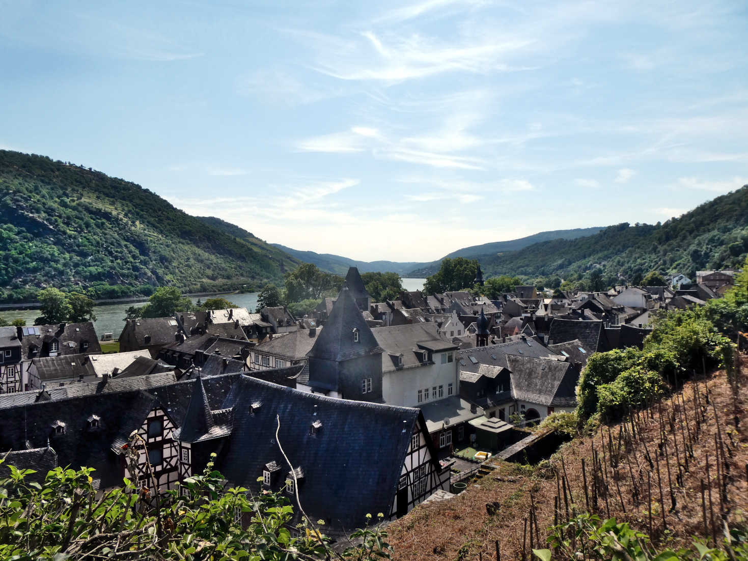 Bacharach from the cathedral