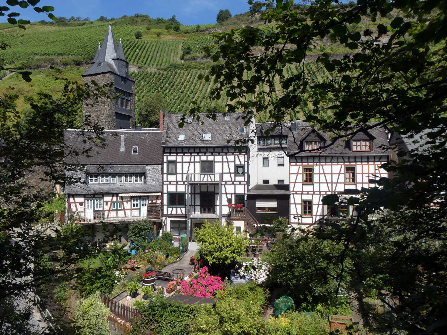 Bacharach from the hill