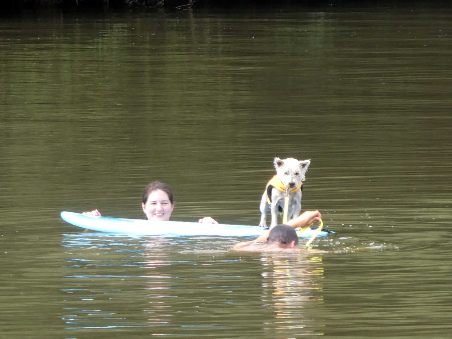 German cousin in the Neckar