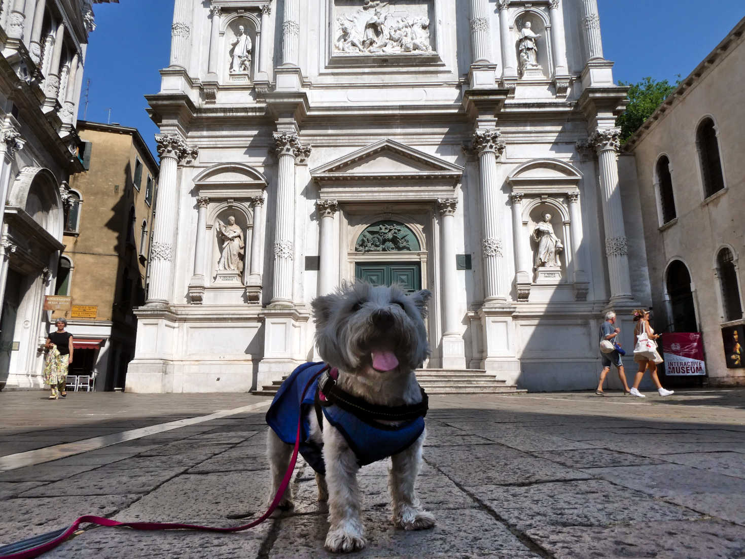 Poppy the westie bags Venice