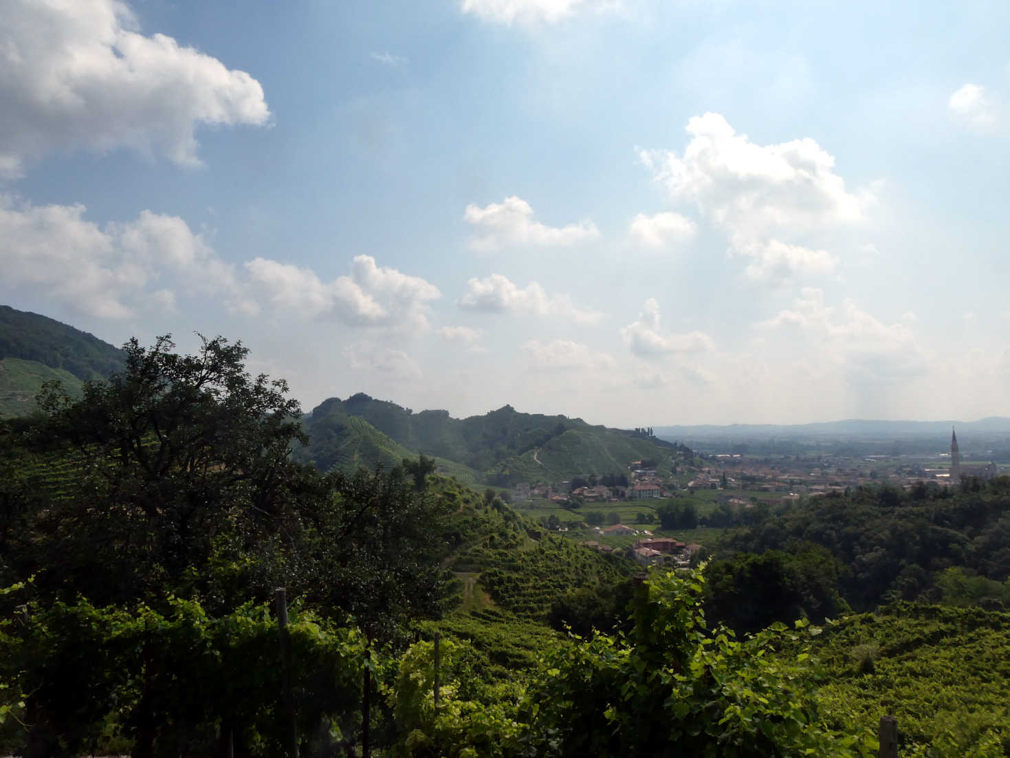 The Prosecco Hills