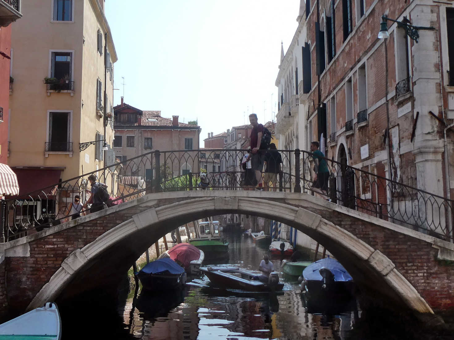 poppy the westie on another bridge in Venice