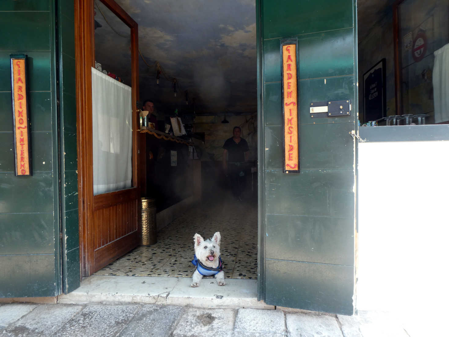 poppy the westie picks a Restaurant