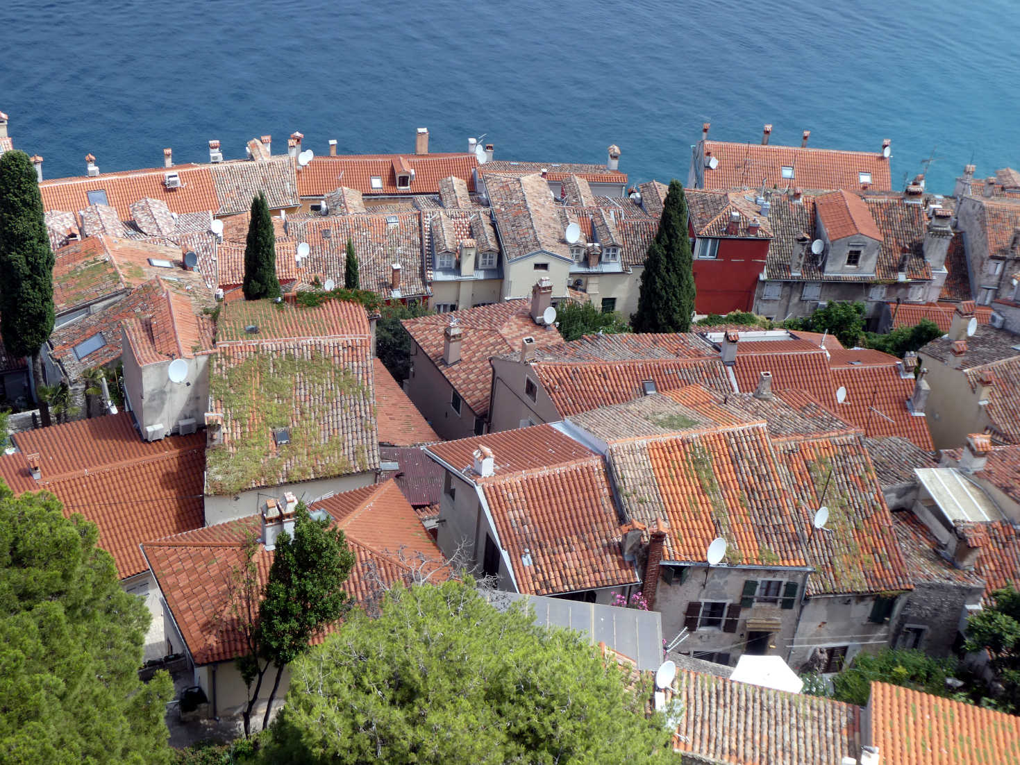 rooftops of Rovinj