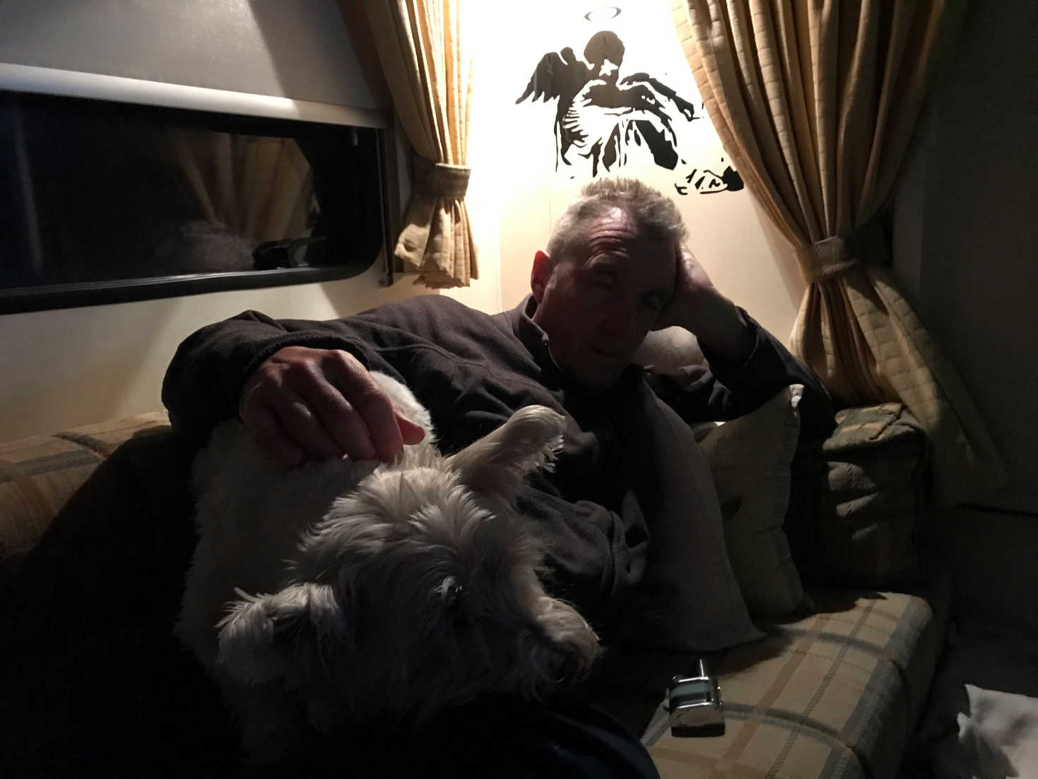 Poppy the westie and Dad in Betsy