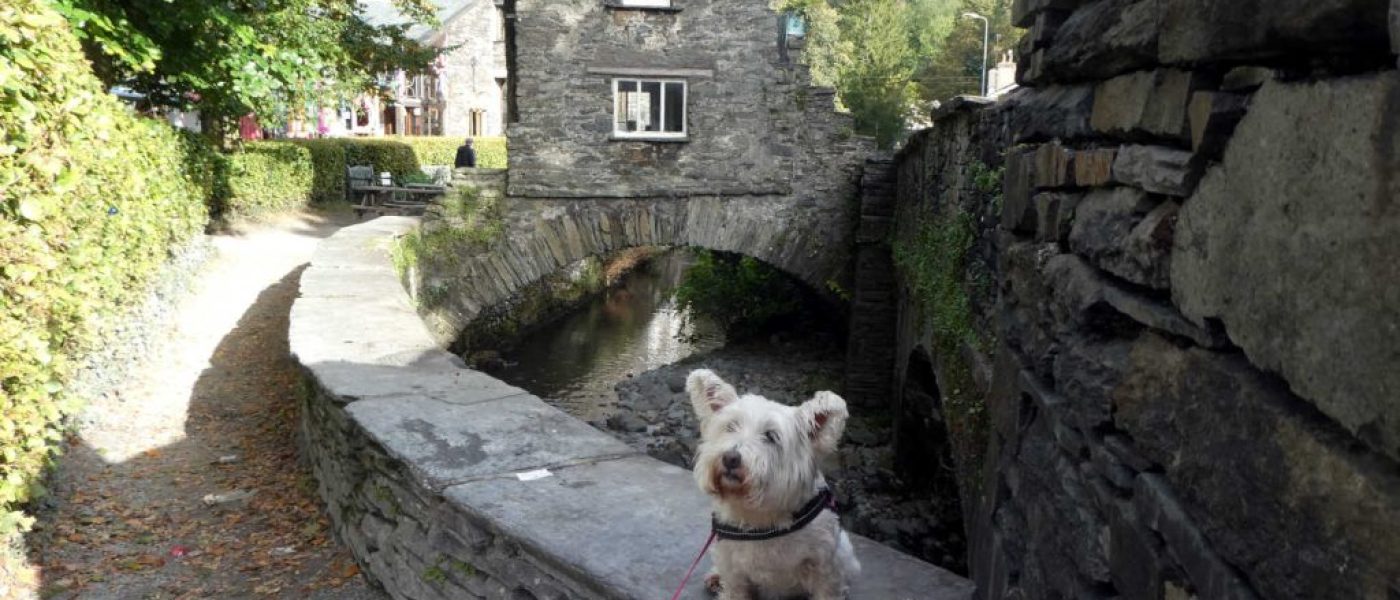 Poppy goes to Ambleside