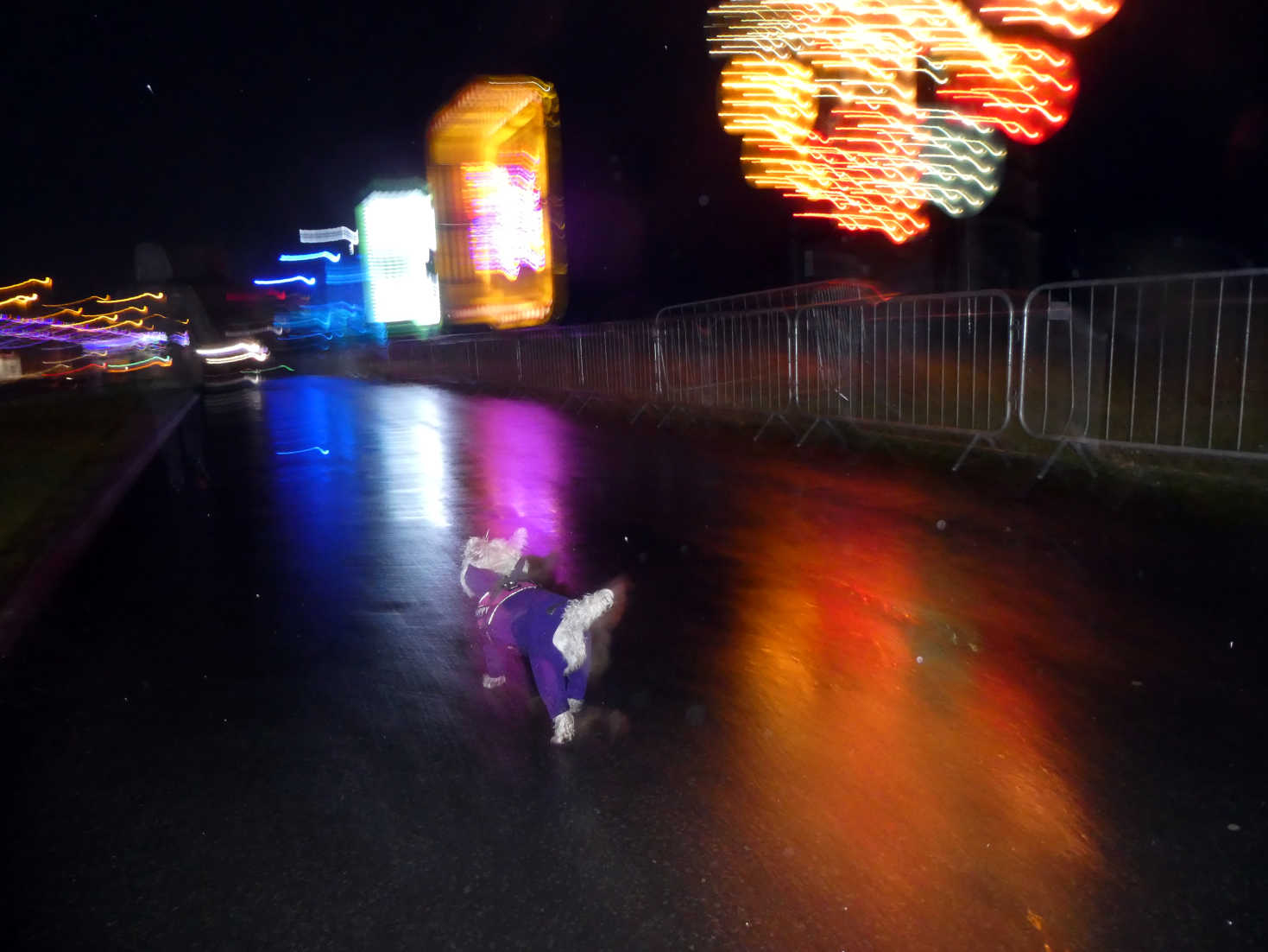 poppy the westie on the move in blackpool