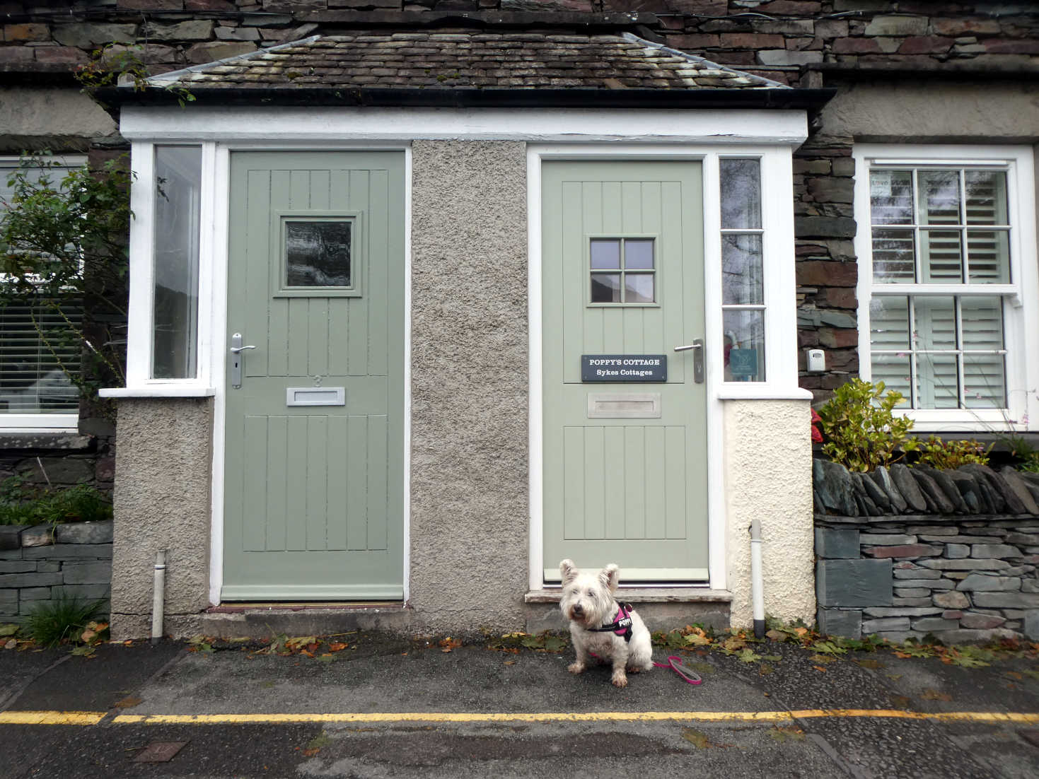 poppy the westies cottage grasmere