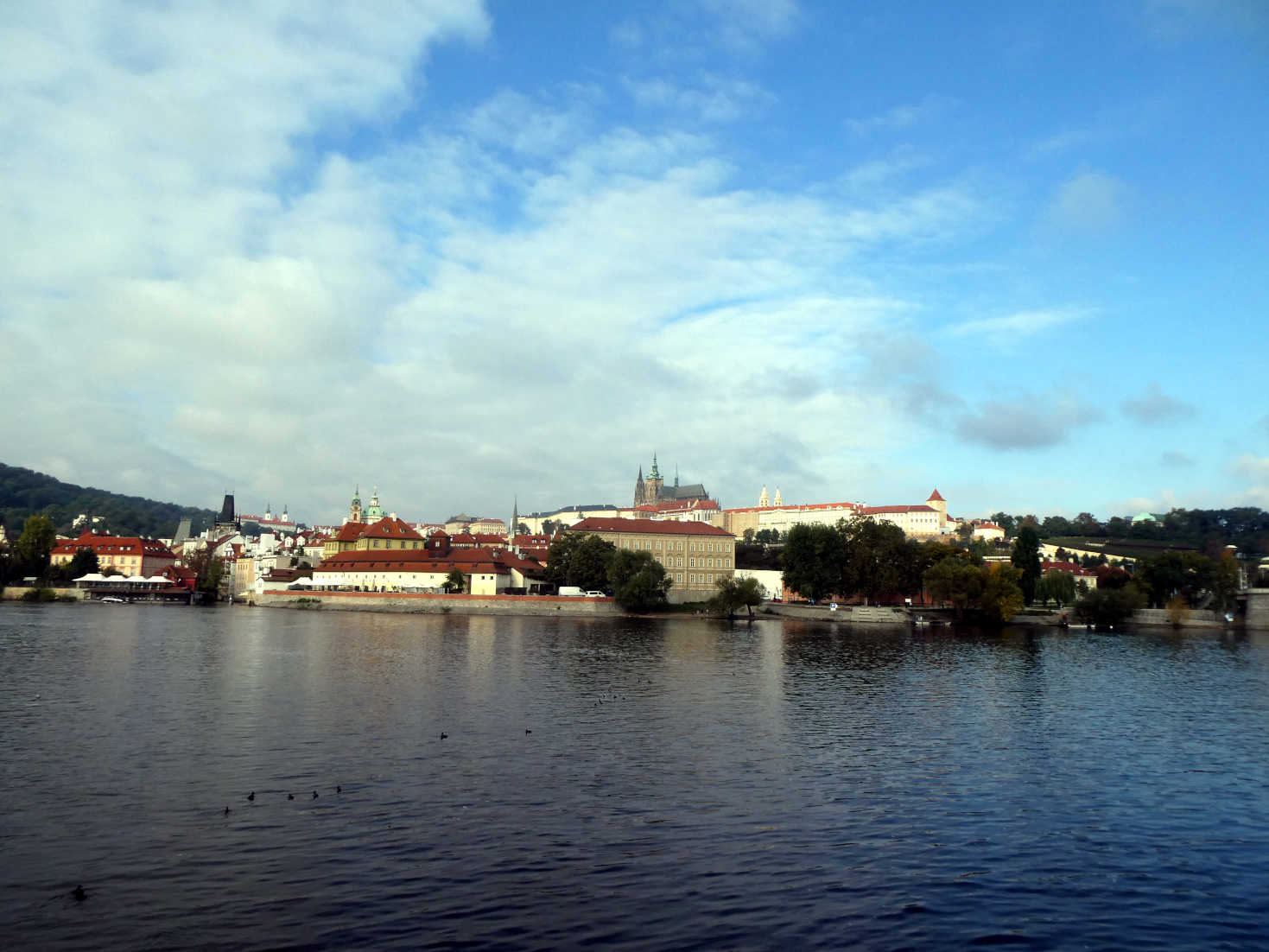 prague castle from the south bank