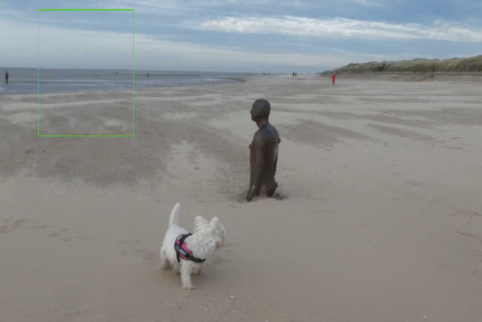 poppy the westie and statue at cosby bay