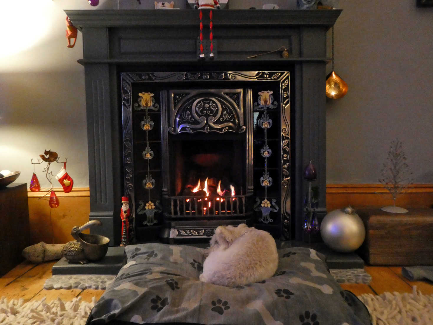 poppy the westie in front of fire xmas eve