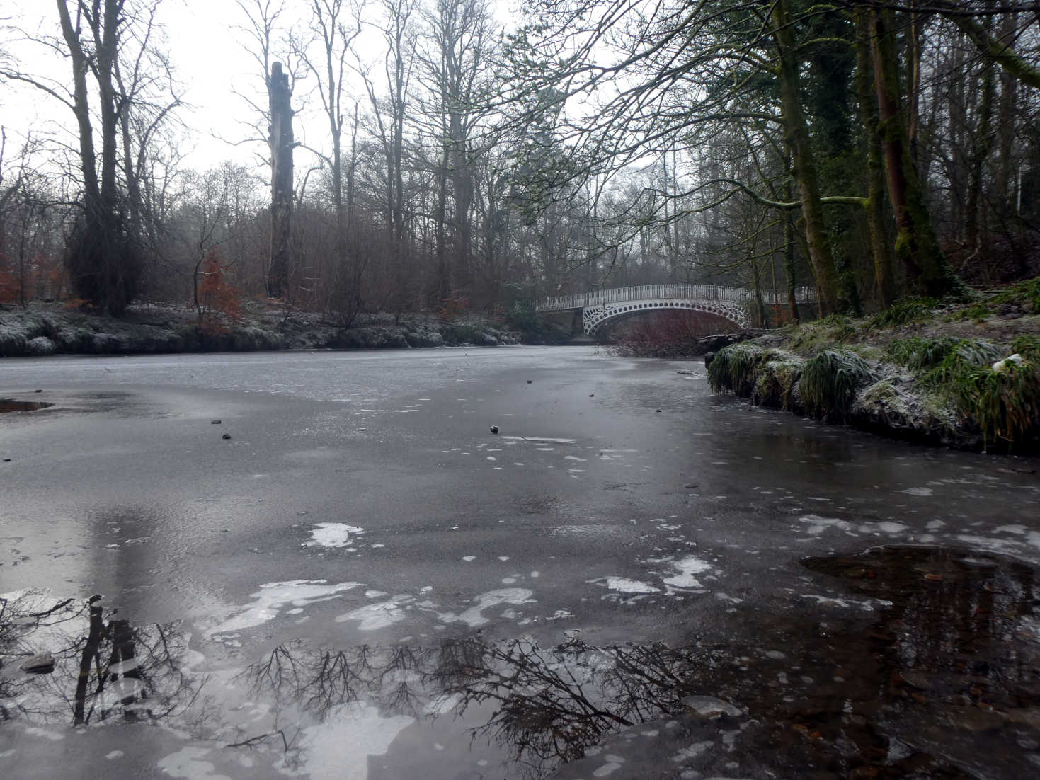 the bridge in linn park in winter