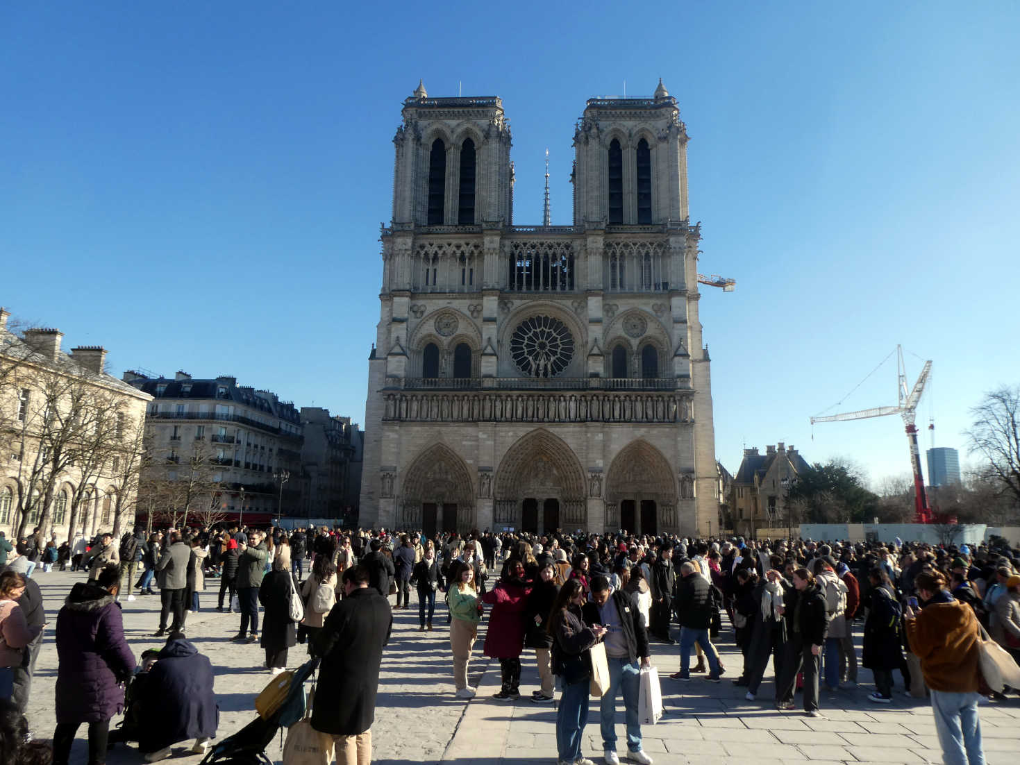 notre dam in the sun