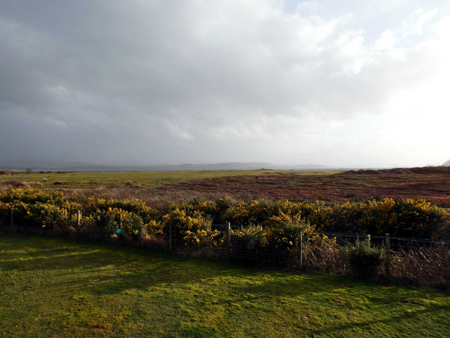 the rain stopped at Tralee