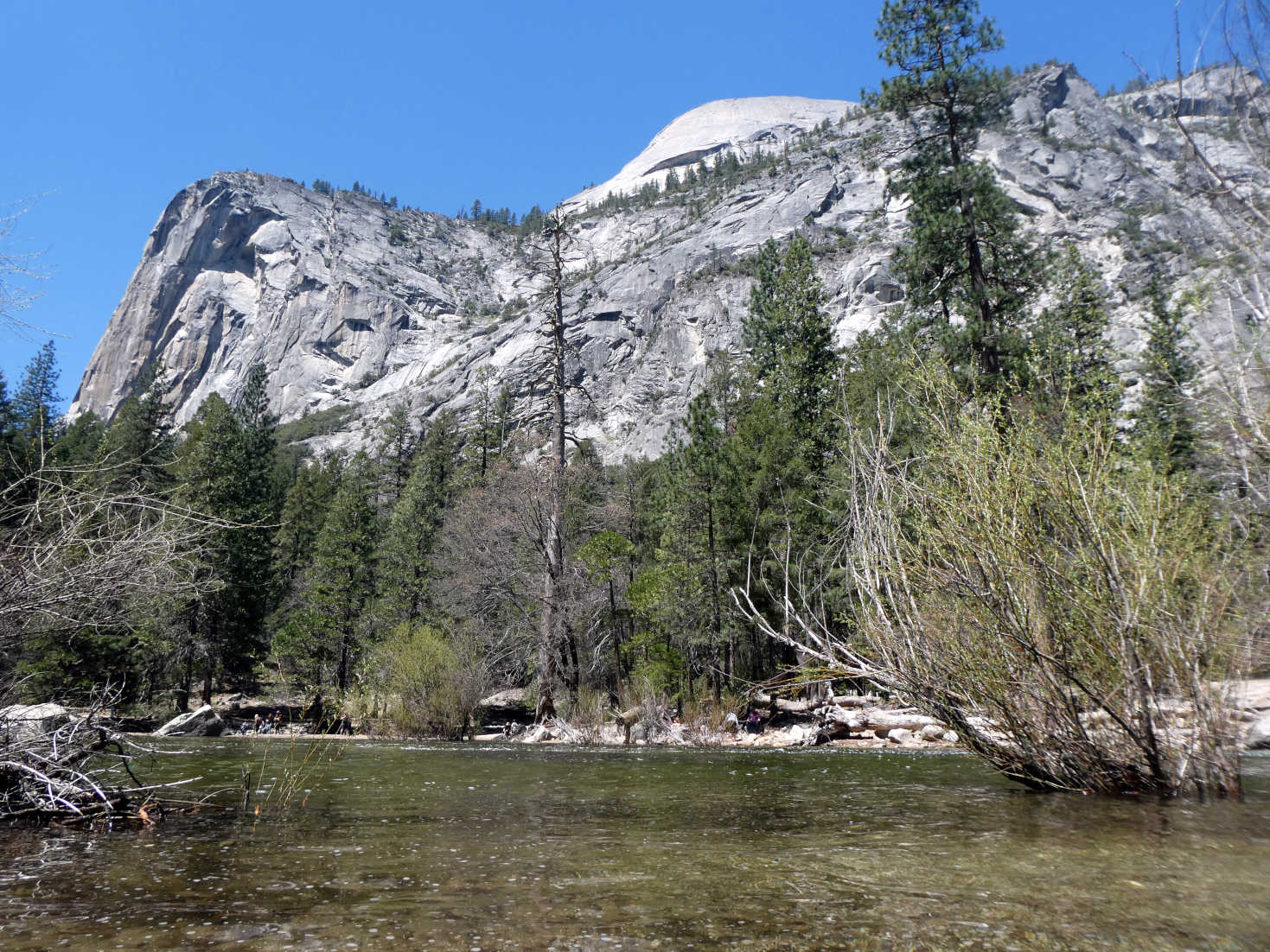 half dome from mirror lake