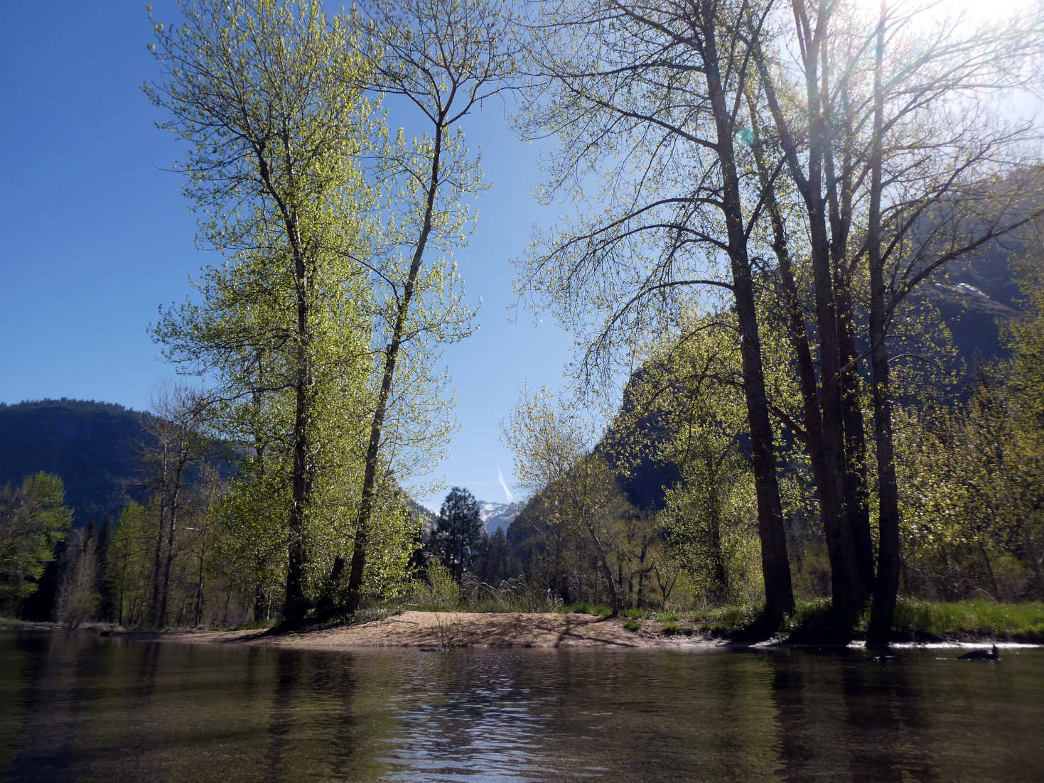 in yosemity vally in yosemity vally