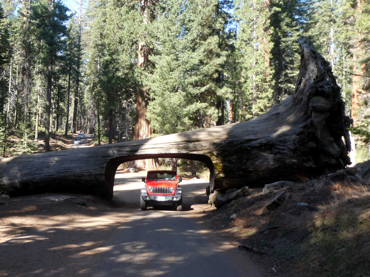 jeep going through tunnel log
