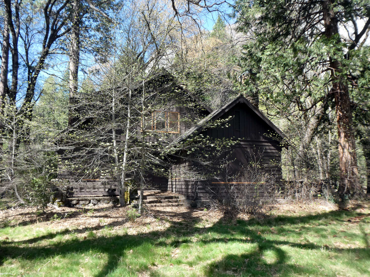 the house in the trees the house in the trees