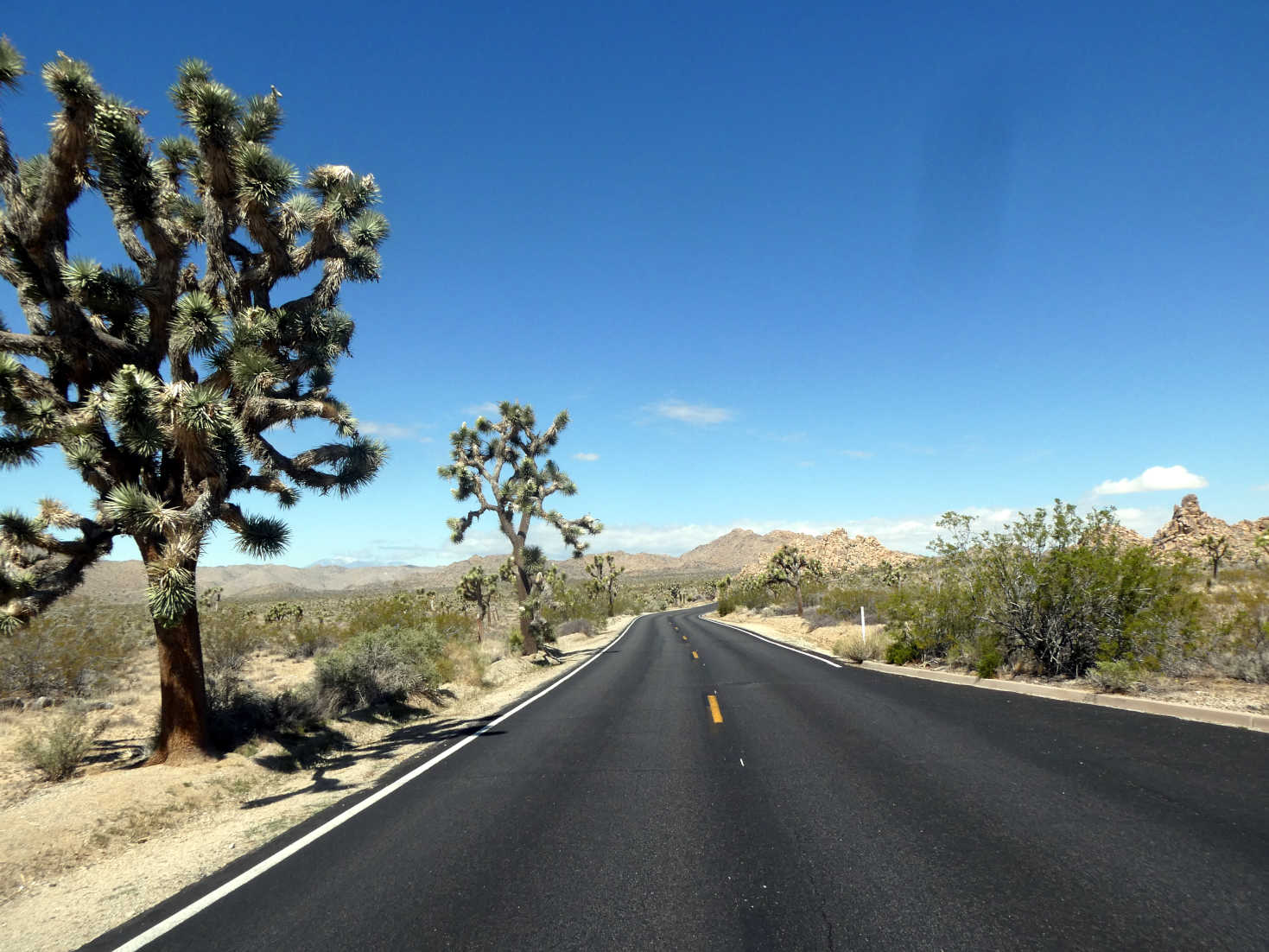 the road into Joshua Tree the road into Joshua Tree