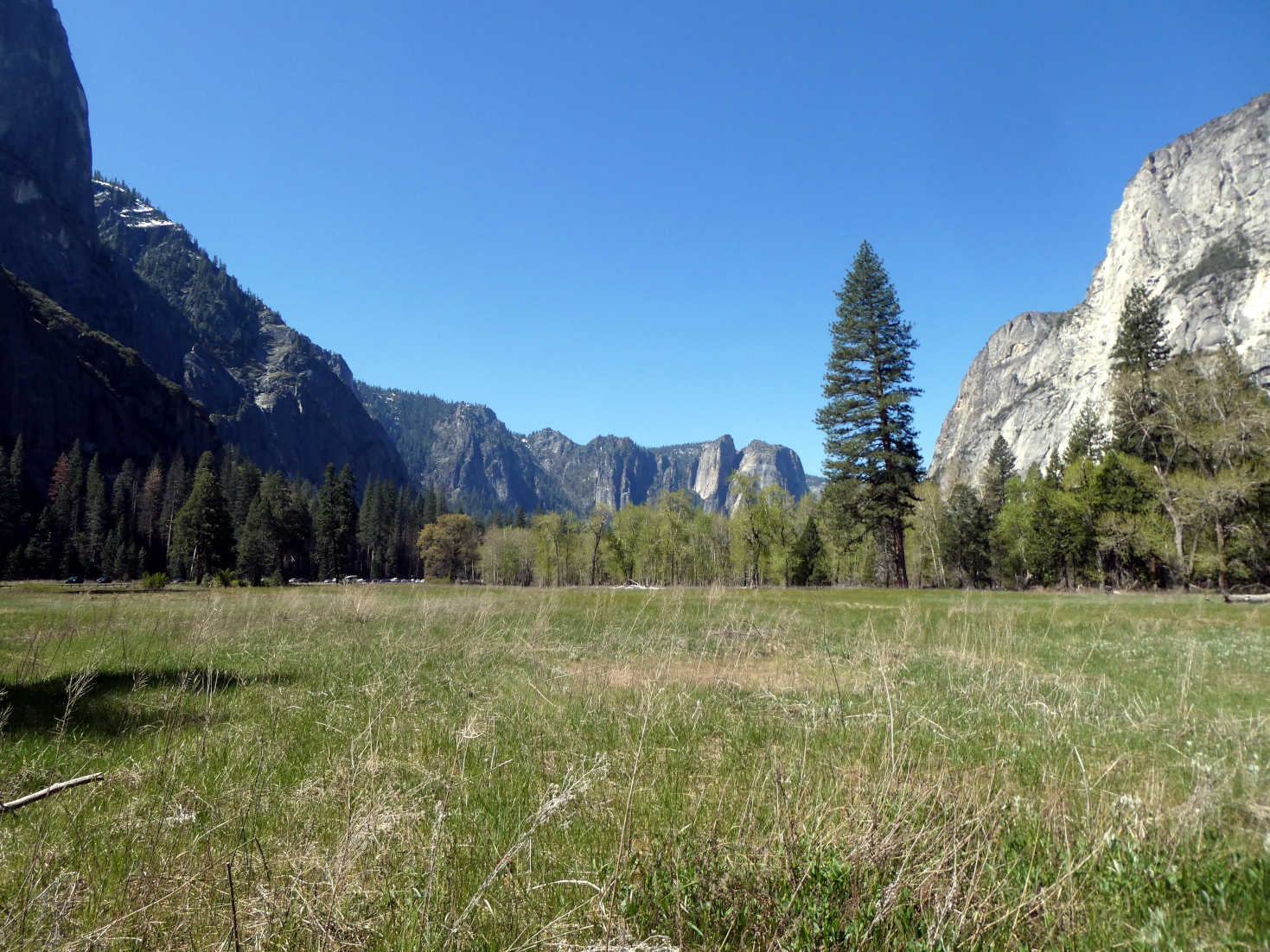 the valley in yosemity the valley in yosemity