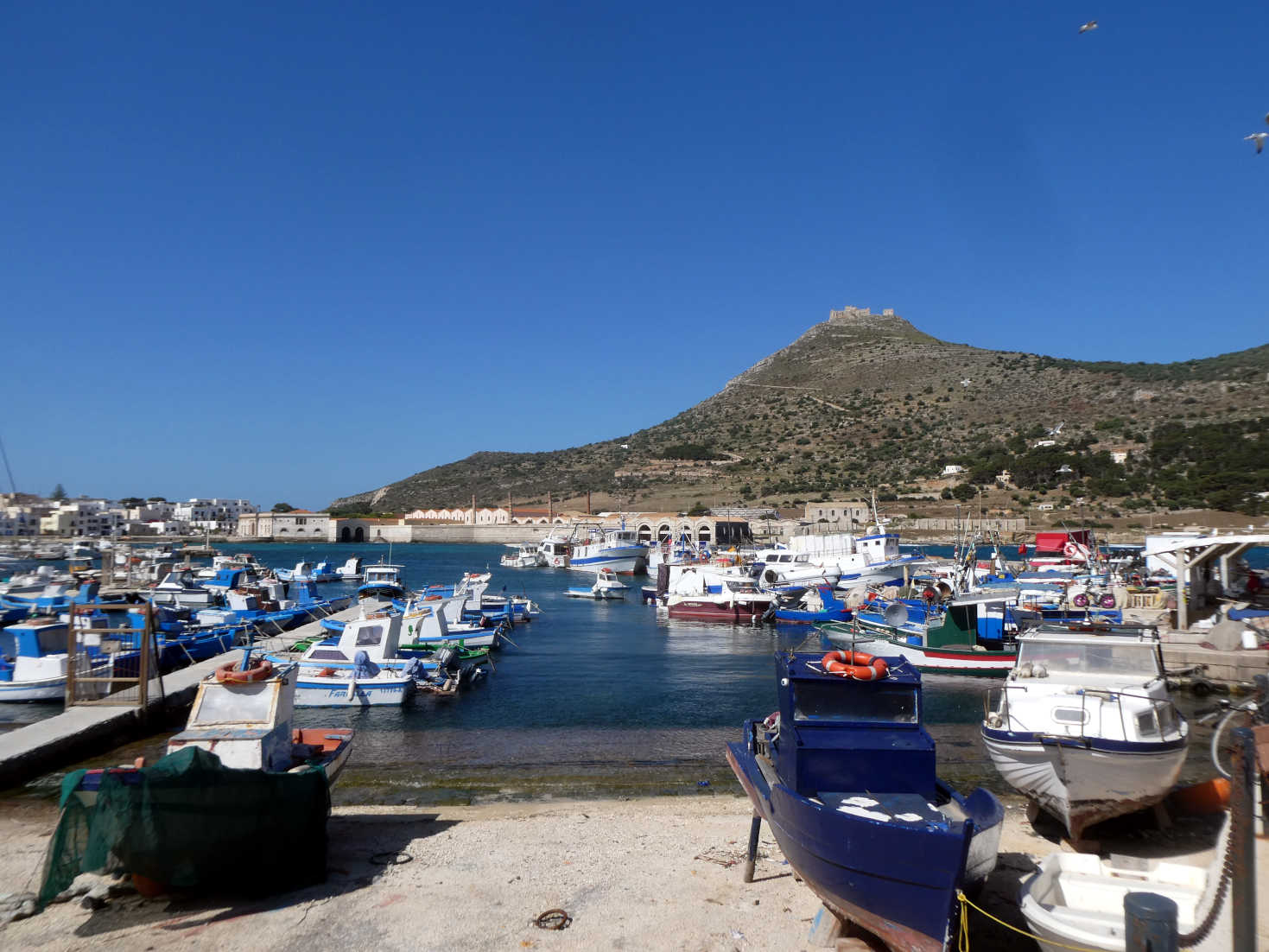 the port at favignana the port at favignana