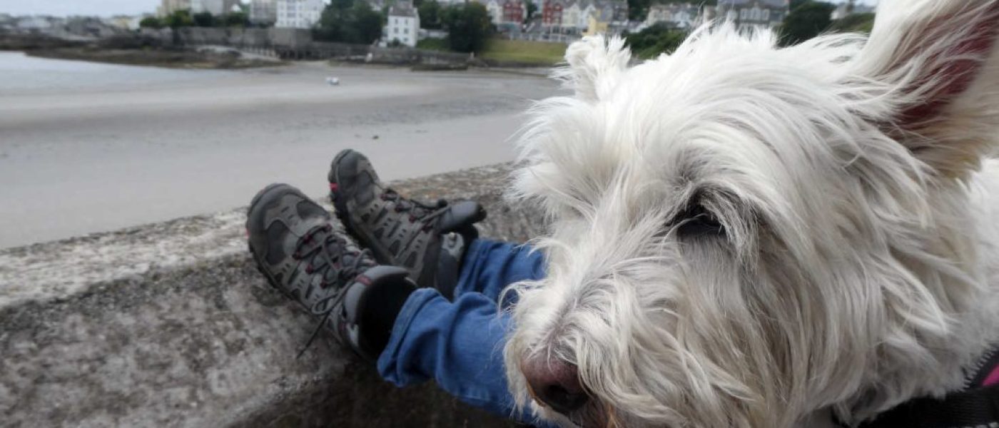 Plodding around Port St Mary