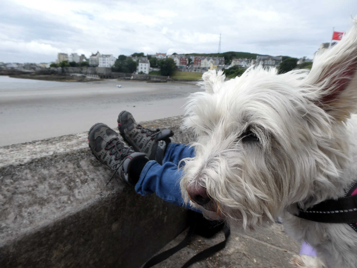 Having a rest at chapel beach