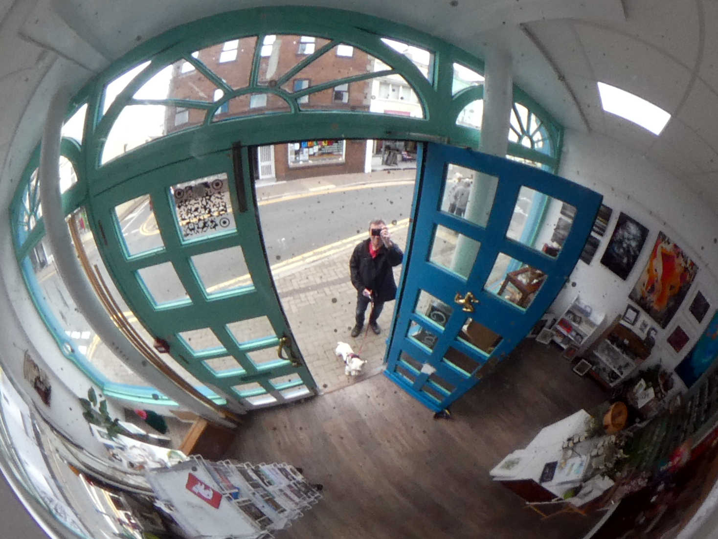 poppy the westie at shop door in Ramsey