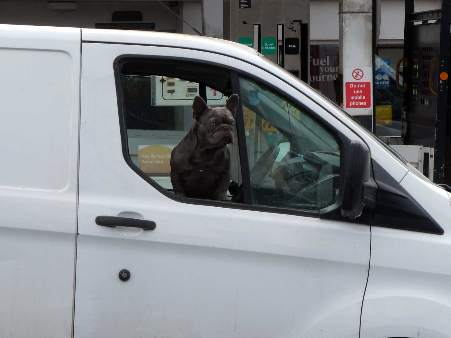 port erin local