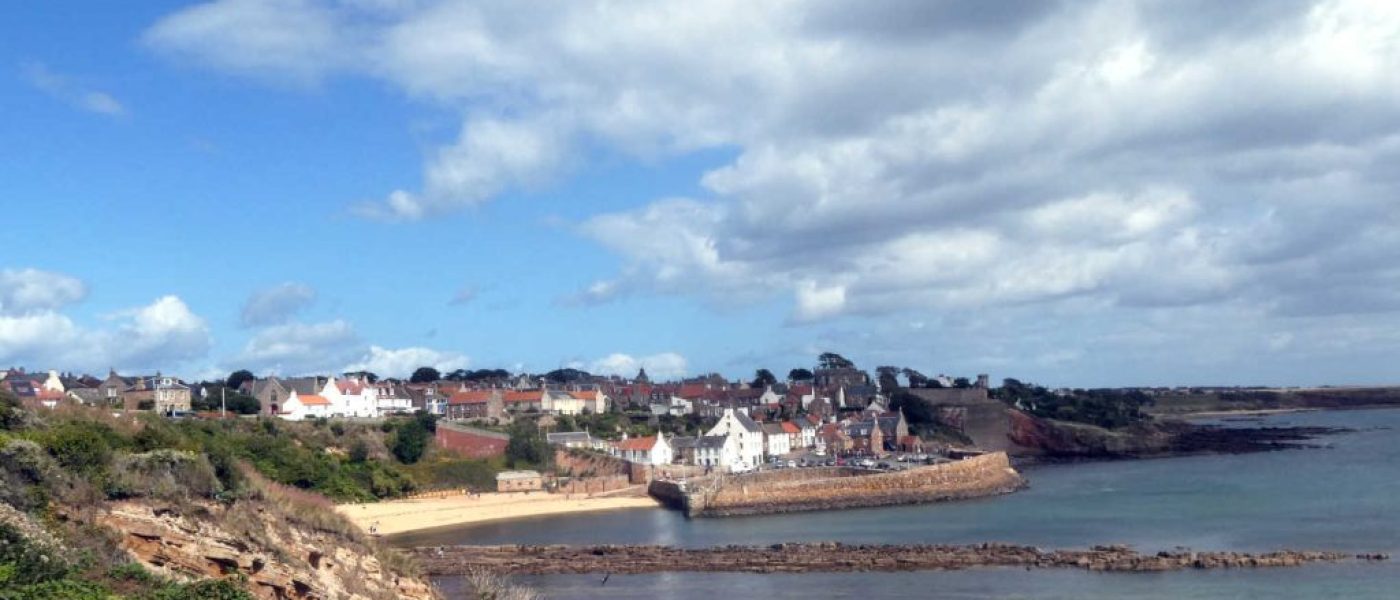 Poppy goes back to Crail