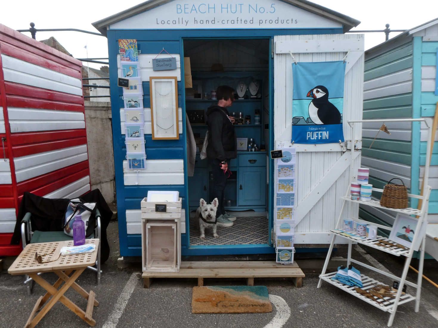 poppy the westie goes shopping at north berwick