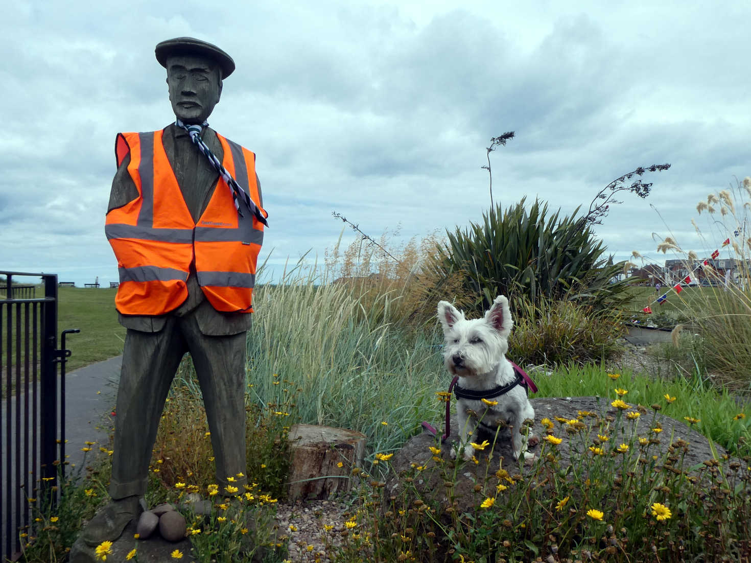poppy the westie meets a local at north berwick poppy the westie meets a local at north berwick
