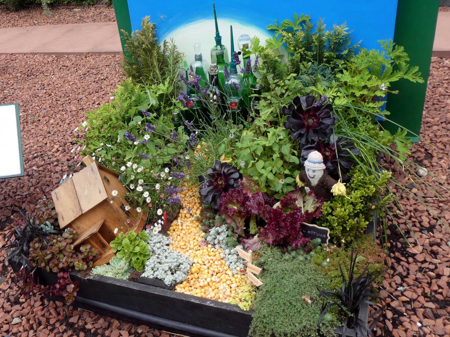 wizard of oz garden wizard of oz garden