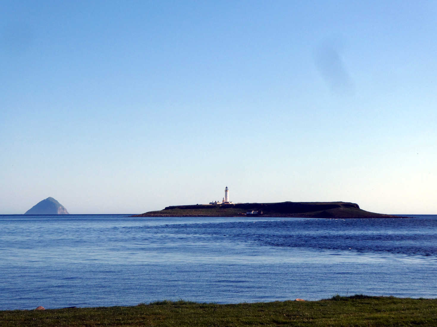 pladda in the sun