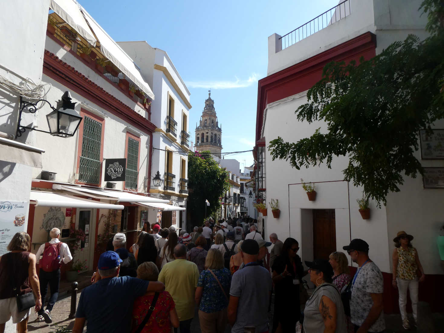 cardoba after the busses come