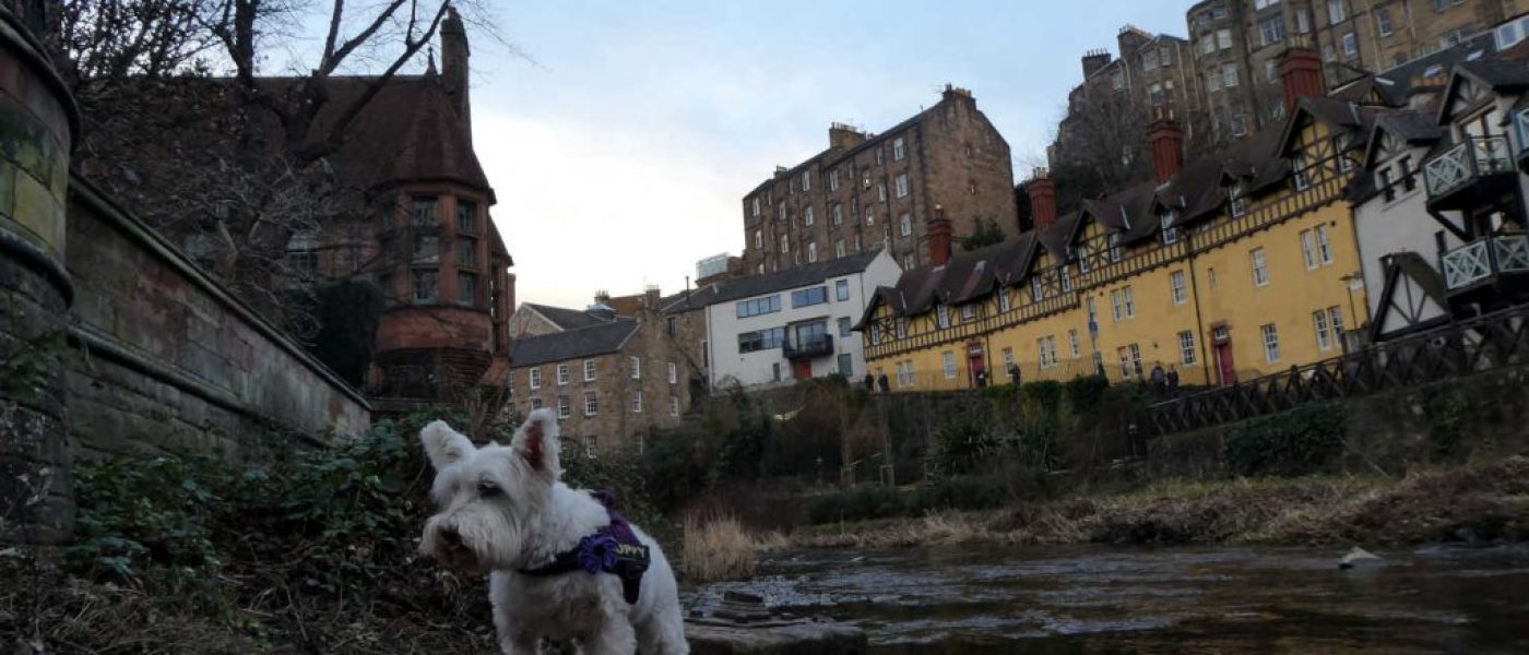 Portobello And Edinburger