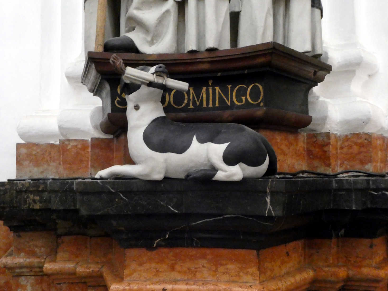 saint domingos dog