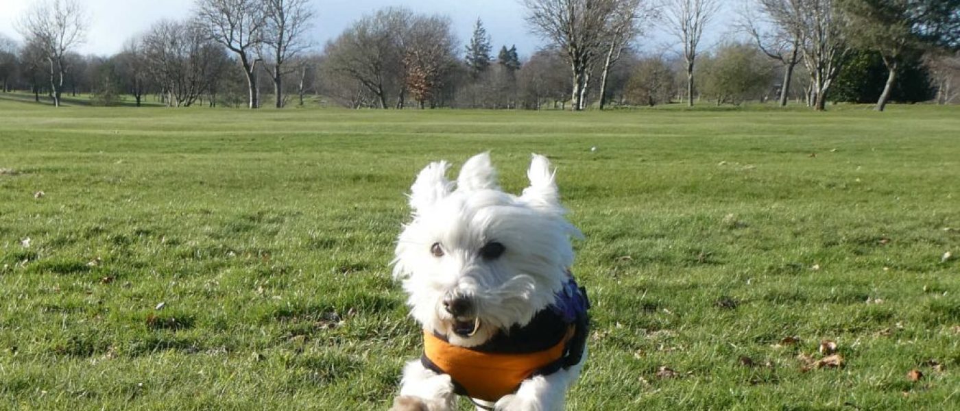 Birthday trip to Stirling