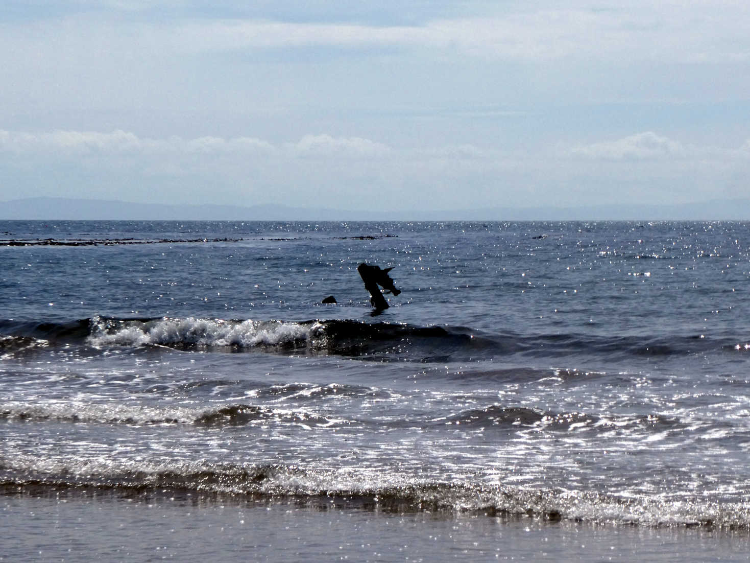 loch lagg monster