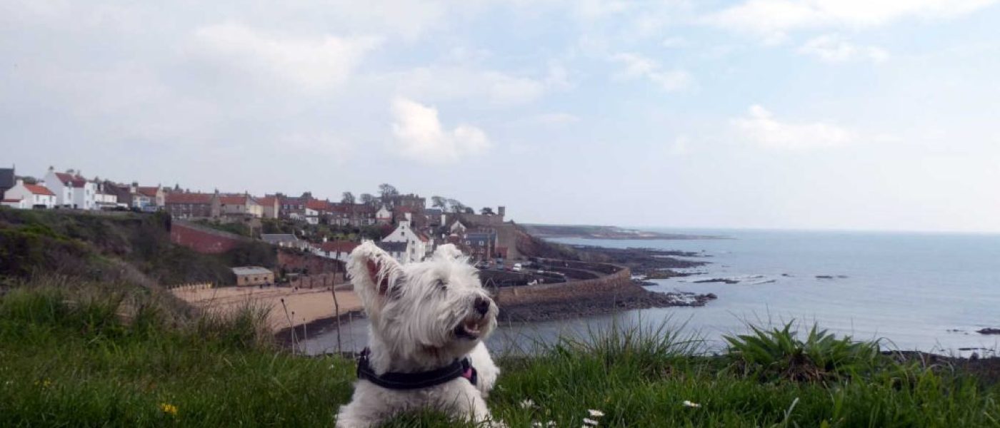 Back to Crail and St Andrews