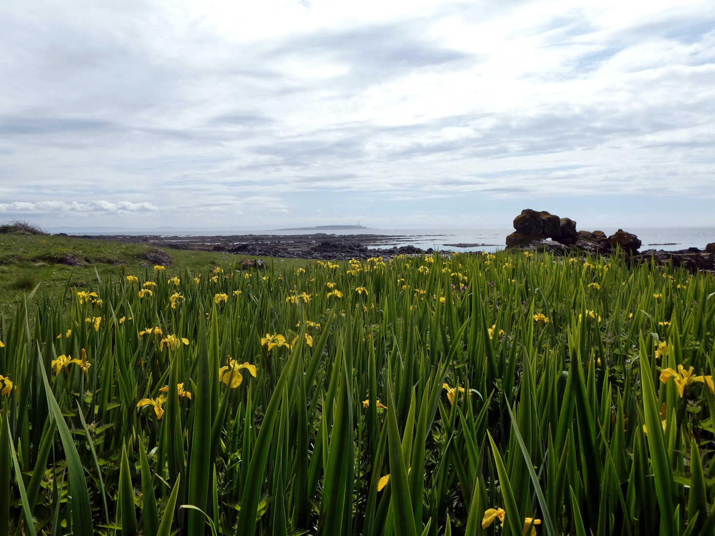 the veiw towards Plada